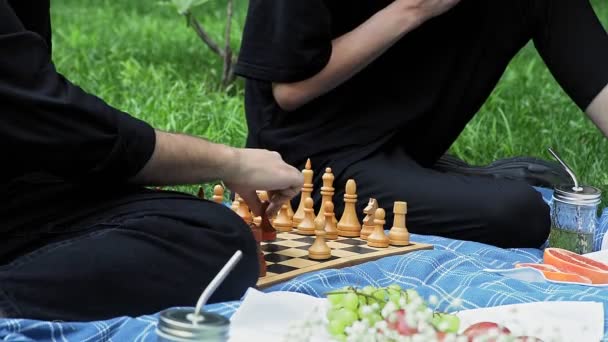 Twee jonge jongens schaken in de natuur in de zomer — Stockvideo
