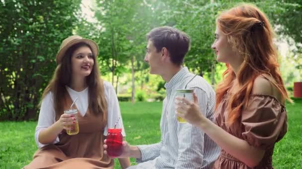 Two girls and a guy at a picnic in the summer in the park communicate — Stock Video