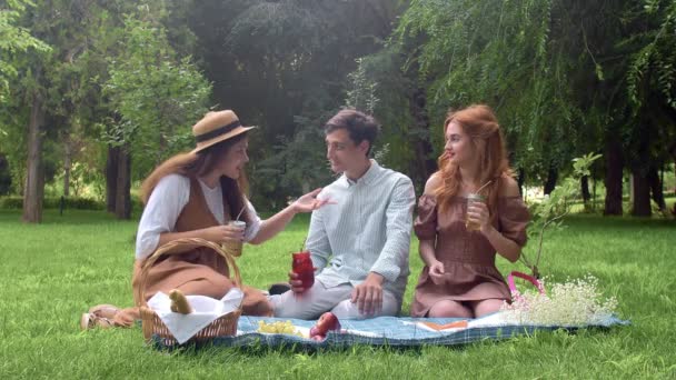 Dos chicas y un chico en un picnic en el verano en el parque se comunican — Vídeos de Stock