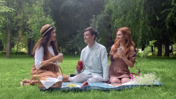 Dos chicas y un chico en un picnic en el verano en el parque se comunican — Vídeos de Stock