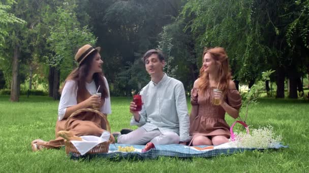 Dos chicas y un chico en un picnic en el verano en el parque se comunican — Vídeos de Stock