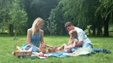 Anne ve babasıyla küçük bir kız ve onların tüylü köpekleri yazın doğada satranç oynuyorlar.