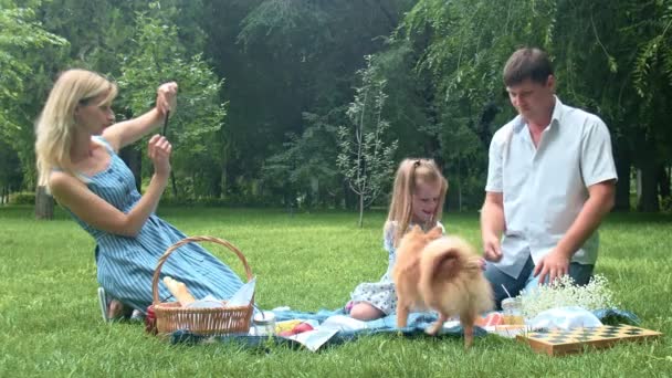 Padre e hija juegan con el perro en un picnic en el parque, y sus fotos madre en el teléfono — Vídeos de Stock