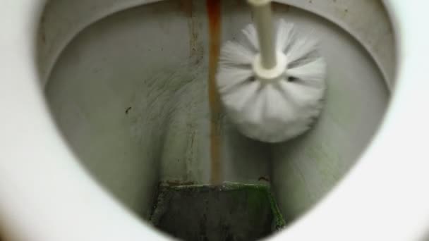 El limpiador vierte detergente en el inodoro y lo limpia con un cepillo de cerca — Vídeos de Stock