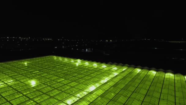 Streszczenie zielonego geometrycznego tła. Podświetlane szklarnie w nocy. Infrastruktura rolnicza na dachach szklanych. — Wideo stockowe