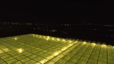 Soyut yeşil geometrik arkaplan. Geceleri seraları aydınlatıyordu. Cam çatılarda tarım altyapısı.