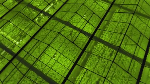 Fondo geométrico verde abstracto. Invernaderos iluminados por la noche. Infraestructura agrícola en techos de vidrio. — Vídeo de stock