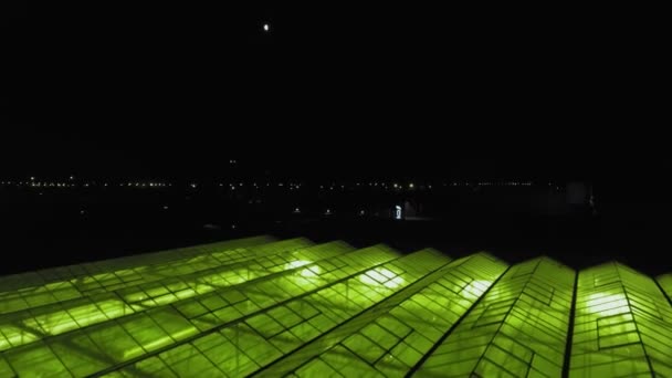Абстрактный зеленый геометрический фон. Подсветка теплиц ночью. Сельскохозяйственная инфраструктура на стеклянных крышах. — стоковое видео