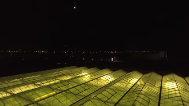Streszczenie zielonego geometrycznego tła. Podświetlane szklarnie w nocy. Infrastruktura rolnicza na dachach szklanych. — Wideo stockowe