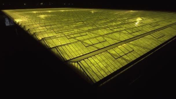 녹색의 기하학적 배경을 추상화하 십시오. 밤에는 온실에 불을 붙이고. 유리 지붕 위의 농업 기반 시설. — 비디오