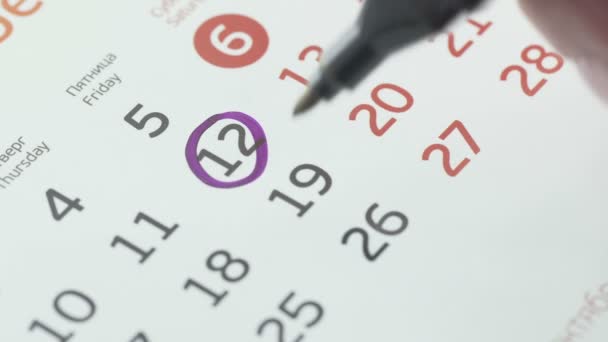 Крупный план девятнадцатого дня календаря, вычеркнутый фиолетовым пером — стоковое видео
