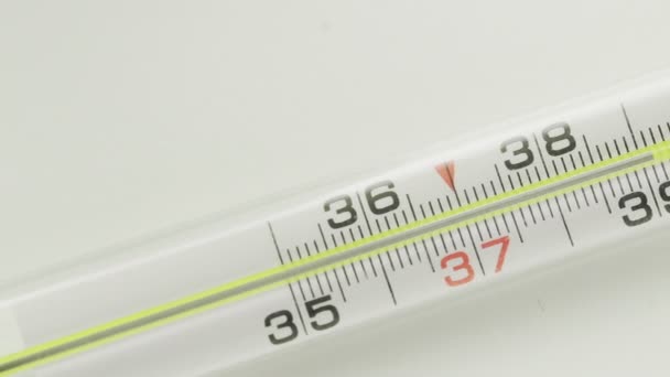 A close-up of a glass mercury thermometer shows a low temperature — Stock Video