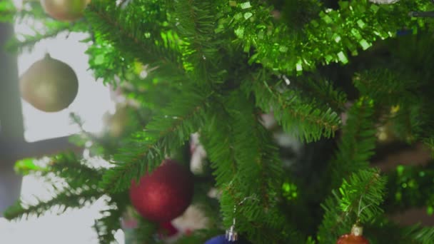 Vrouwenhanden hangen een kerstbal aan de kerstboom. Een close-up. Kerstmis. Nieuwjaar. — Stockvideo