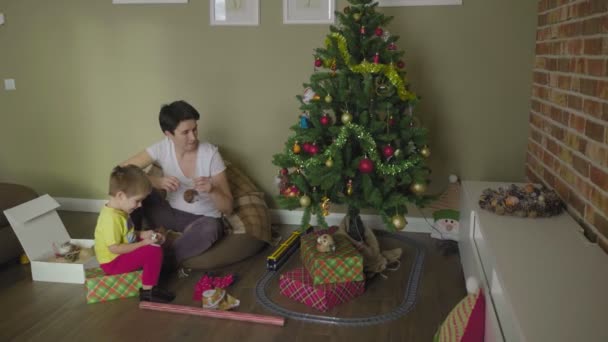 Mamá y el niño decoran el árbol de Navidad. Navidad. Humor festivo. — Vídeos de Stock