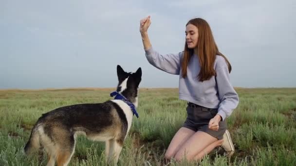 Молодая женщина играет со своей собакой, царапает ему голову, ласкает, играет с Поппи на улице — стоковое видео