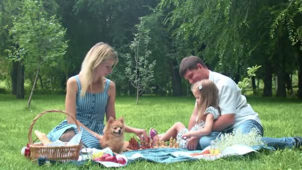 Una niña con su padre y su madre y su perro esponjoso juega al ajedrez en la naturaleza en el verano — Vídeos de Stock