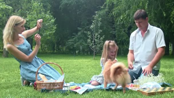 爸爸和女儿在公园野餐的时候和狗一起玩，妈妈的照片在电话里 — 图库视频影像