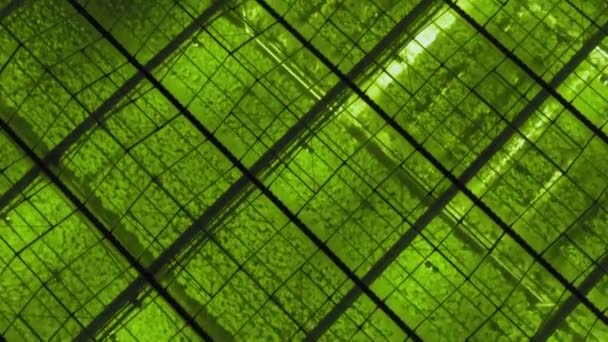 Abstract green geometric background. Illuminated greenhouses at night. Agricultural infrastructure on glass roofs. — Stock Video