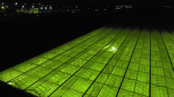 Fundo geométrico verde abstrato. Estufas iluminadas à noite. Infra-estruturas agrícolas em telhados de vidro. — Vídeo de Stock