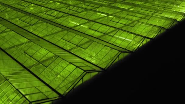 Fond géométrique vert abstrait. Serres éclairées la nuit. Infrastructures agricoles sur toitures vitrées. — Video