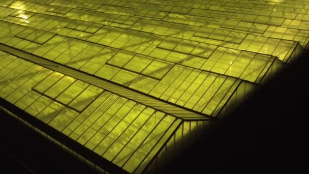 Abstrakter grüner geometrischer Hintergrund. Nachts beleuchtete Gewächshäuser. Landwirtschaftliche Infrastruktur auf Glasdächern. — Stockvideo