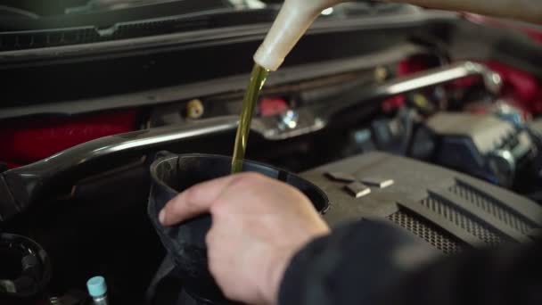 An auto mechanic replaces the oil in the car engine. — Stock Video