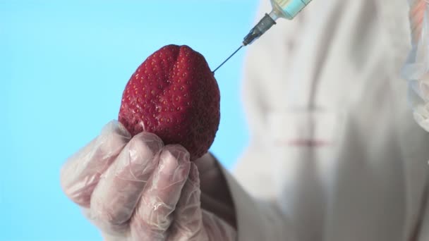 Primer plano de un humano en una bata médica y guantes que inyectan una jeringa en fresas con un poco de líquido sobre un fondo azul — Vídeos de Stock