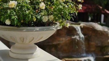 Bahçe yavaş çekimde yapay şelale