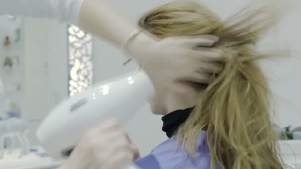 Peluquería secado cabello con secador de pelo de cliente mujer en salón de belleza — Vídeos de Stock
