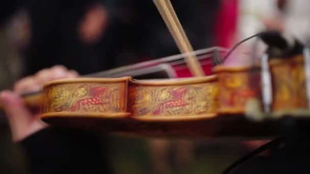 Музыкант играет на скрипке крупным планом — стоковое видео