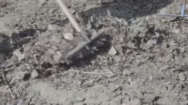 adam komisyon çöp ü kaldırır yavaş hareket yakın