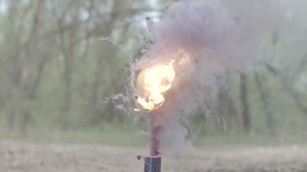 Blaue Rauchbombe qualmt und bläst im Waldhintergrund in Zeitlupe — Stockvideo