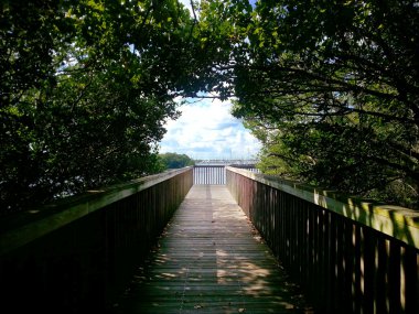 Coconut Grove park boardwalk