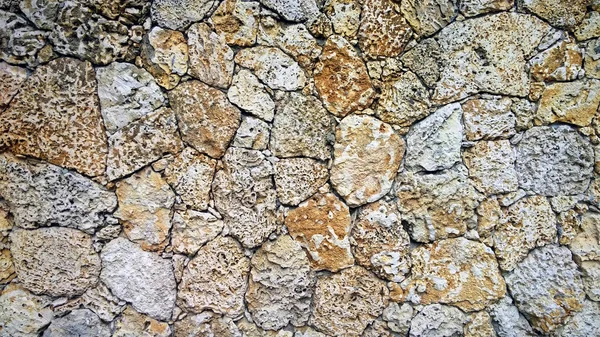 Coral Rock Wall - Background