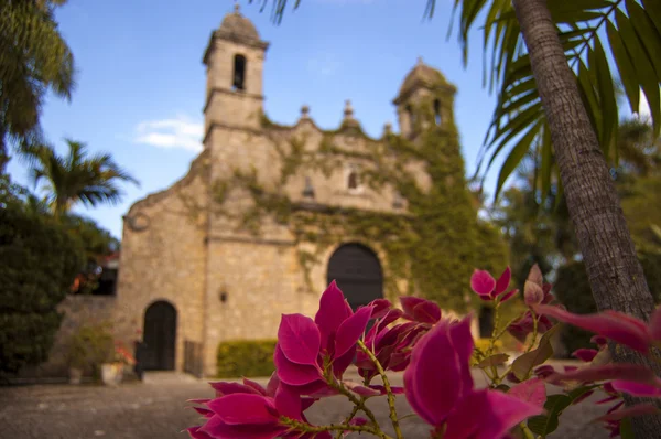 Flowers At Plymouth Church — Stock Photo, Image