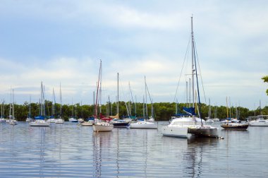 Koyda demirlemiş Yelkenliler