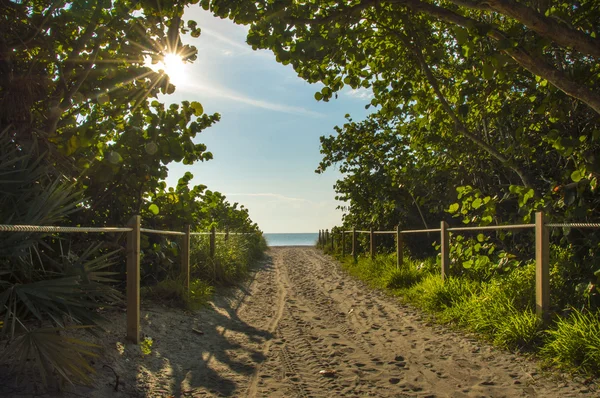 Ścieżka Sandy Beach — Zdjęcie stockowe