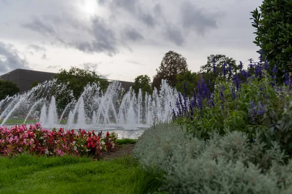 Water fountains in Mannheim, Germany and some flowers with the flower bed containing red flowers in focus
