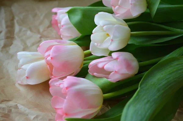 Roze Tulpen Ambachtelijk Papier — Stockfoto