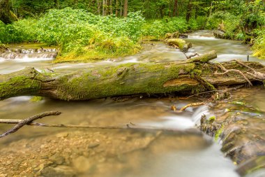 Decorah, Iowa 'da dere. 