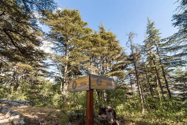 Hiking trail sign in Tannourine Cedars Forest Reserve, Lebanon