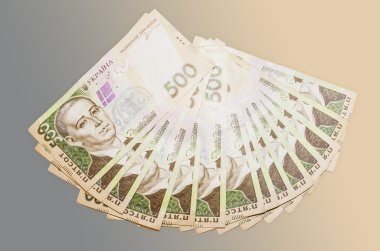 Hryvnia hayranıyım