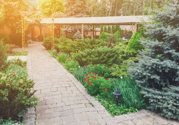 Landscape design, evergreen bushes and path — Stock Image Landscape design, evergreen bushes and path Royalty Free Stock Photos