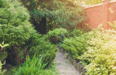 Peyzaj tasarımı, yaprak dökmeyen çalılar ve yol