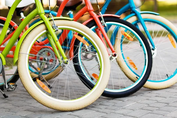Tre belle bici da città signora — Foto Stock
