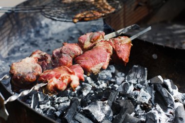 Ham kebap. Taze et mangal barbekü