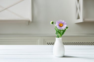 Aster amellus beyaz masada buket çiçek