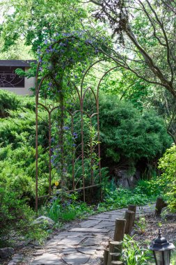 Peyzaj tasarımı, yaprak dökmeyen çalılar ve yol