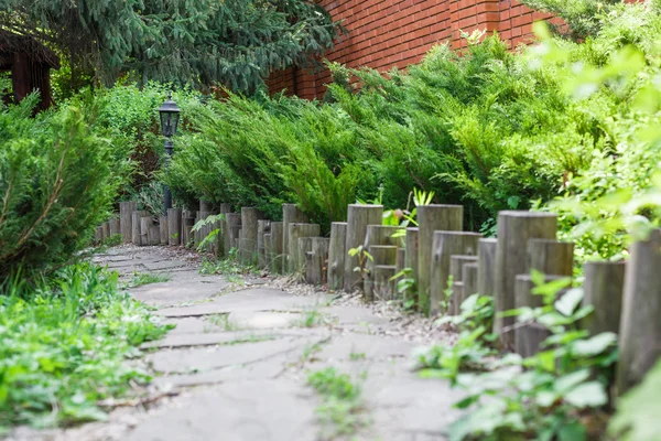 Landskapsplanering, vintergröna buskar och Stig — Stockfoto