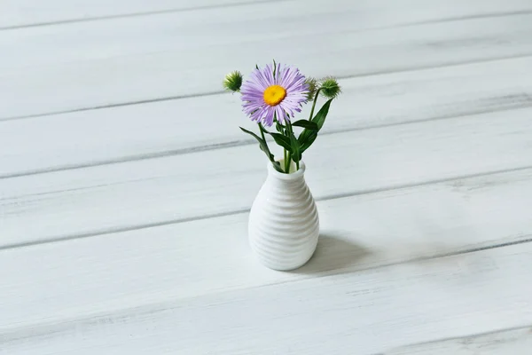 白いテーブルで花束花のアスター amellus — ストック写真